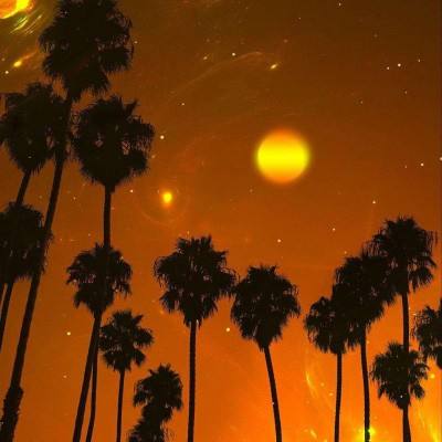 华体会登录下载手机版