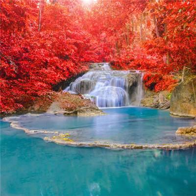 澳门黄金城app苹果下载官网