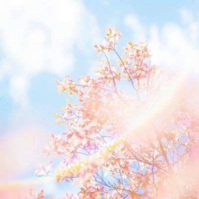 北京k10赛车下载APP