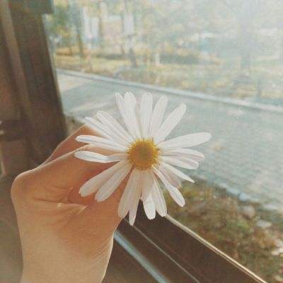 开云·体育(kaiyun)app下载